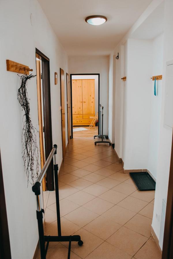 Apartman Rokytnice Nad Jizerou Daire Dış mekan fotoğraf